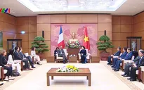 Việt Nam luôn coi trọng quan hệ với Pháp trong chính sách đối ngoại