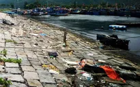 Âu thuyền và Cảng cá Thọ Quang vẫn ô nhiễm nặng