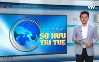Làm thế nào để nâng cao chất lượng nguồn nhân lực về sở hữu trí tuệ?