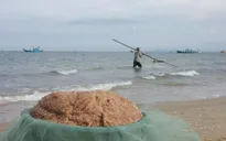 Quảng Bình: Ngư dân trúng đậm mùa ruốc biển