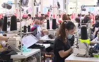Đẩy mạnh chất lượng vải trong nước, doanh nghiệp Việt tận dung cơ hội CPTPP