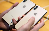 Avery Hartmans: Tôi đã dùng 7 mẫu iPhone đang bán ra, và đây là thiết bị đáng mua nhất