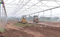 Tháo gỡ rào cản trong tích tụ và tập trung ruộng đất