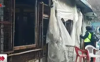 Hàn Quốc tiến hành phá bỏ cơ sở giết mổ chó lớn nhất đất nước