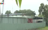 Yêu cầu di dời trang trại gà gây ô nhiễm
