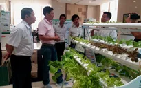 Giới thiệu nhiều mô hình kinh tế ứng phó biến đổi khí hậu hiệu quả tại ĐBSCL
