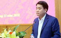 Hà Nội: Sẽ di chuyển cây hoa sữa ở một số tuyến phố