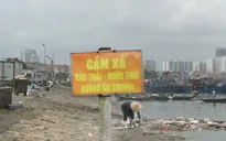 Rác gây ô nhiễm nặng cảng cá Thọ Quang