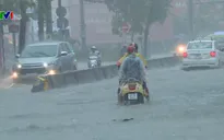 Bão số 9 làm sập đổ, ngập 20 ngôi nhà