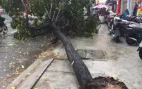 TP.HCM ngập diện rộng, 1 người thiệt mạng do ảnh hưởng bão