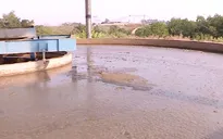 Bất thường hệ thống xử lý nước thải của DN đổ thải trộm ra sông Hồng