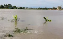 Huyện Bắc Bình, Bình Thuận vẫn ngập nặng do mưa lũ