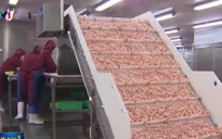 Doanh nghiệp đầu tư vào nông nghiệp còn nhiều khó khăn