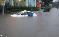 Bảo hiểm ước tính thiệt hại hàng chục tỷ đồng sau bão số 9