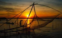 Nghề cất vó - Nét văn hóa độc đáo ở miền sông nước
