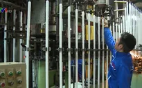 Giải pháp nào để tăng năng suất lao động?