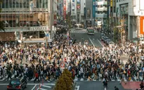 Chính phủ Nhật Bản dự định trả 600 triệu đồng cho bất cứ ai rời khỏi Tokyo