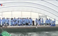 Mô hình nuôi tôm nhà màng bong bóng đầu tiên tại Bạc Liêu
