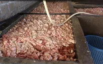 Phát hiện hàng chục tấn lòng lợn ngâm tẩm phụ gia không rõ nguồn gốc
