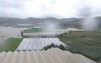 Báo động nạn nhà kính ở Đà Lạt