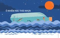 Ô nhiễm rác thải nhựa: “Sự trả thù” của những thứ bị vứt đi