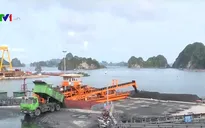 Cần sớm xây dựng giá bán than theo thị trường