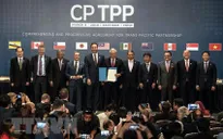 Hiệp định CPTPP được kích hoạt: Việt Nam đã sẵn sàng như thế nào?