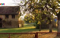 Người dân Croatia đổ ra nước ngoài làm việc