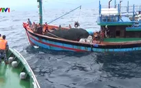 Cứu thành công tàu cá gặp nạn trên biển