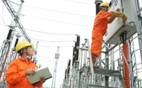 Điện lực TP.HCM nâng cao dịch vụ chăm sóc khách hàng