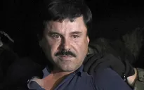 Con đường phạm tội của trùm ma túy El Chapo