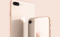 Vì sao người dùng nên mua iPhone 8 và 8 Plus bản tân trang?