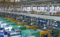 Doanh nghiệp Việt lạc quan về triển vọng thương mại toàn cầu