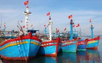 Khánh Hòa: Thu hồi nợ vay đóng mới, nâng cấp tàu cá theo NĐ 67