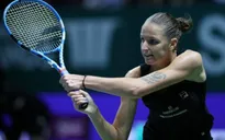 Karolina Pliskova sẽ không tham dự chung kết Fed Cup