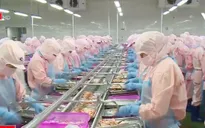 Xuất khẩu thủy sản đạt 7,2 tỷ USD