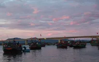 Không khí tấp nập tại các cảng cá lúc rạng sáng