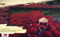 Chiêm ngưỡng những bức ảnh về "Chân dung và con người"