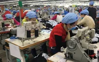 Thách thức lớn với doanh nghiệp nhỏ và vừa khi tham gia CPTPP