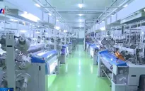 CPTPP - Áp lực cạnh tranh doanh nghiệp Việt