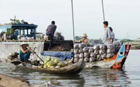 Đón bình minh yên ả, hữu tình trên chợ nổi Long Xuyên