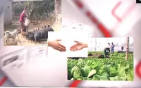Giải tỏa “cơn khát” công nghệ trong ngành nông nghiệp - Bắt đầu từ đâu?