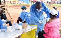 WHO cảnh báo về dịch Ebola ở biên giới Uganda và Congo