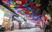Lễ hội Văn hóa làng Vạn Phúc có gì hay?