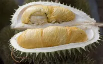 Máy bay hoãn chuyến, hành khách và phi hành đoàn cãi nhau to vì mùi sầu riêng