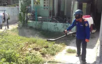 Quảng Nam: Bệnh sốt xuất huyết gia tăng