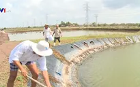 Nhiều chuyển biến tích cực trong thích ứng với biến đổi khí hậu ở ĐBSCL