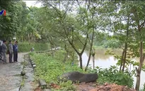 Bất an tình trạng xâm thực nghiêm trọng dọc bờ sông Bạch Yến