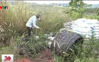 Nghịch lý hàng chục tấn sắt thép, xi măng bị bỏ hoang