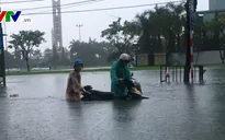 Nhiều diện tích trồng rau tại Đà Nẵng bị ngập sâu do mưa lớn